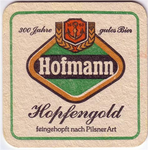 gutenstetten nea-by hofmann quad 1b (185-grüner rahmen)